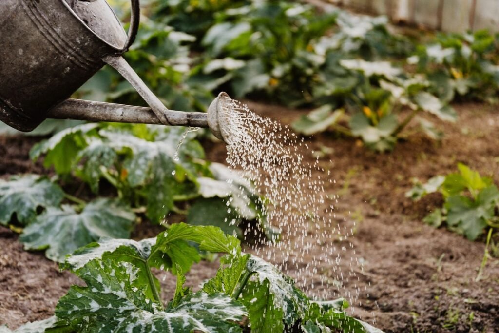Jardin économe en eau : plantes et techniques pour réduire l’arrosage
