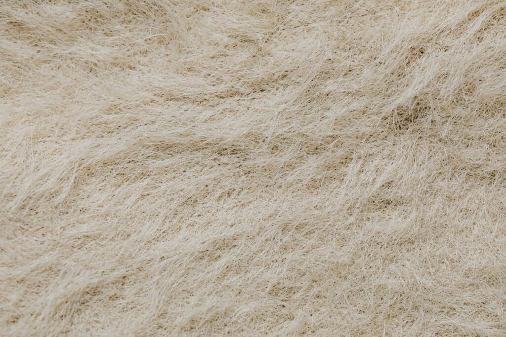 Quel isolant choisir : laine de verre, ouate de cellulose ou laine de bois ?