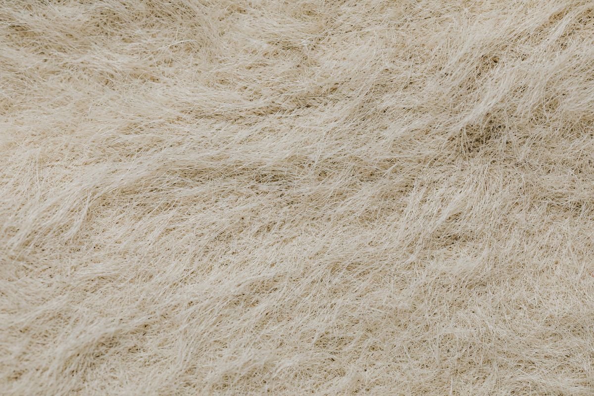Quel isolant choisir : laine de verre, ouate de cellulose ou laine de bois ?