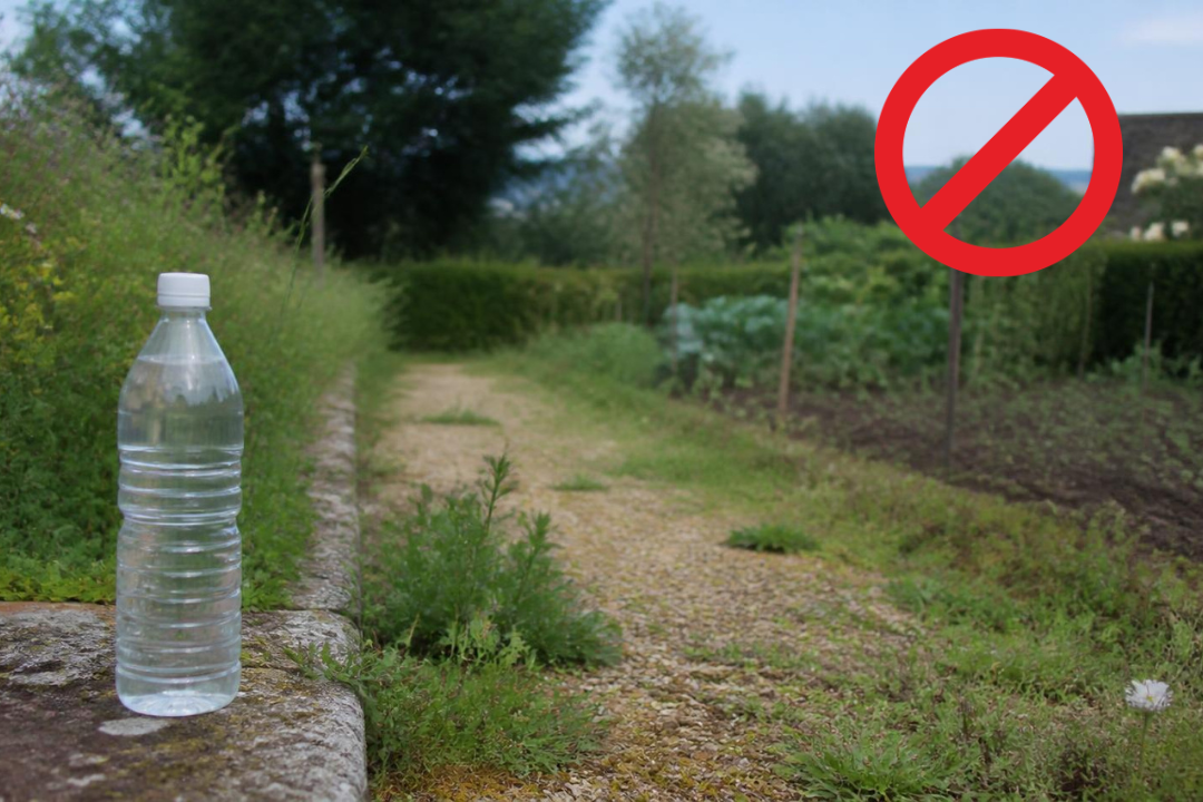Vinaigre blanc désherbant : pourquoi c’est interdit en France