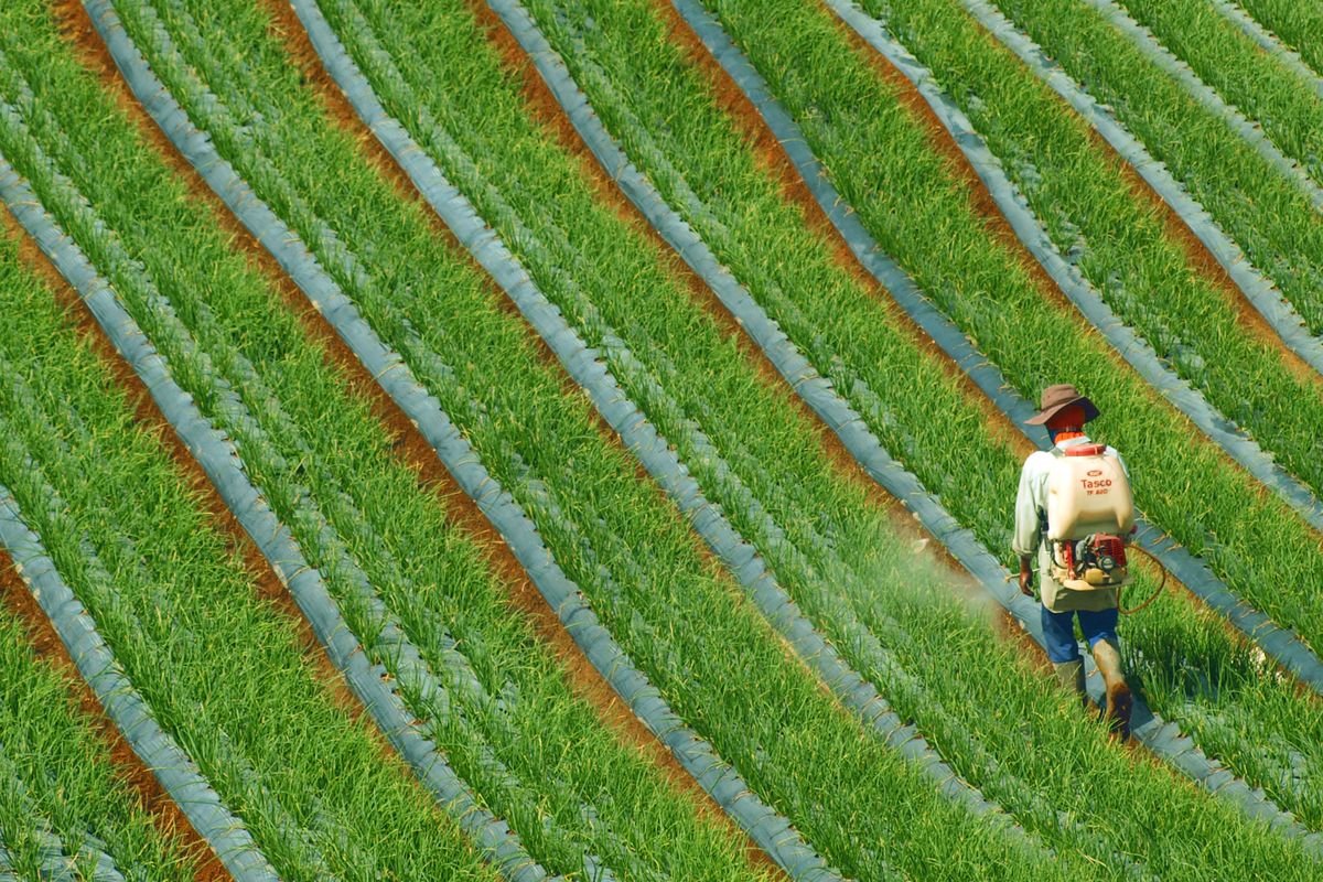 Glyphosate en Espagne : légalité, prix et achat