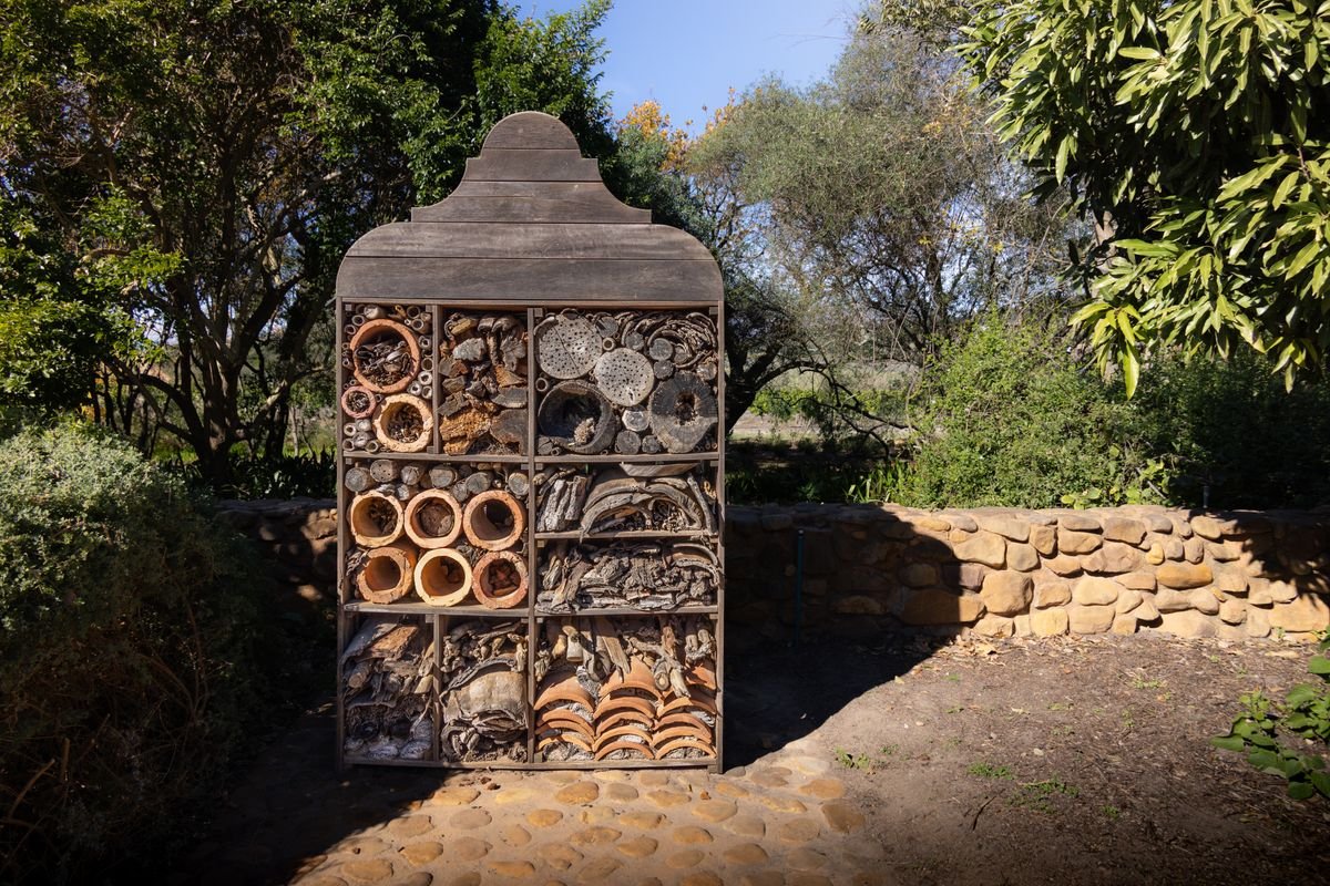 Hôtel à insectes : plans, matériaux et emplacement au jardin