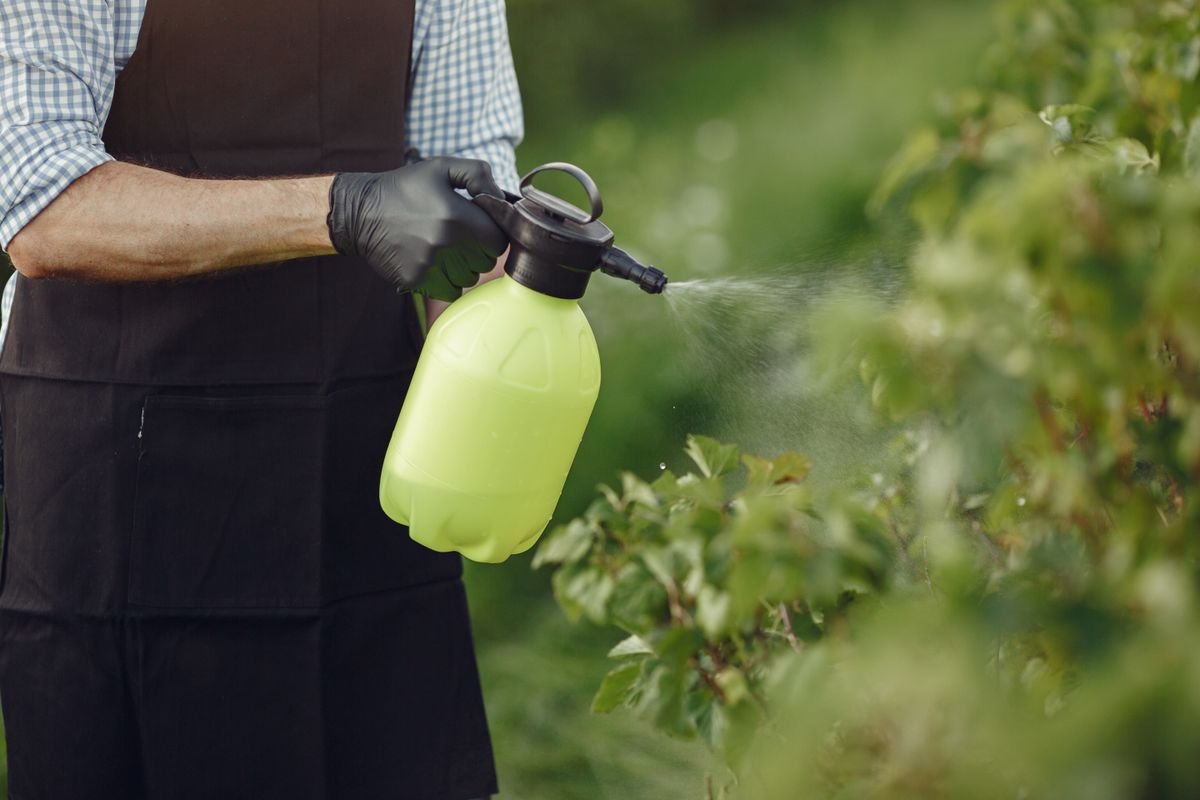Dosage Roundup pour 5 litres d’eau : le bon calcul